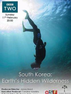 South Korea: Earth’s Hidden Wilderness