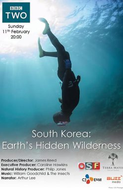 South Korea: Earth’s Hidden Wilderness