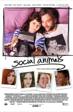 Sosyal Hayvanlar