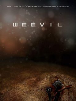 Weevil