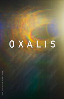 Oxalis