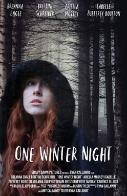 One Winter Night