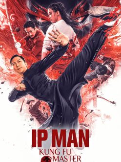 Ip Man: Kung Fu Ustası