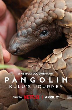 Pangolin: Kulu’s Journey
