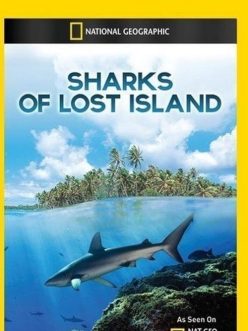 Kayıp Adanın Köpekbalıkları