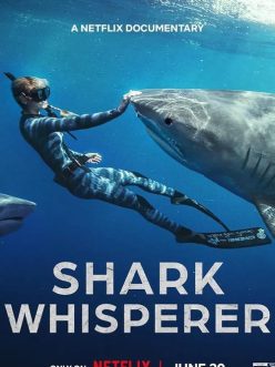 Shark Whisperer