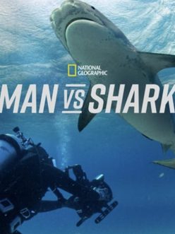 Köpekbalığı İnsana Karşı