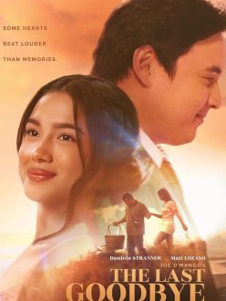 The Last Goodbye