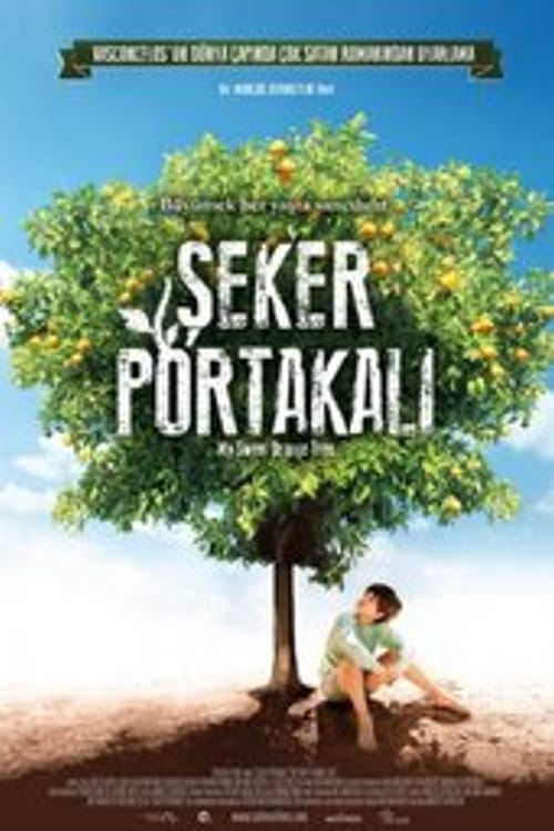 Şeker Portakalı