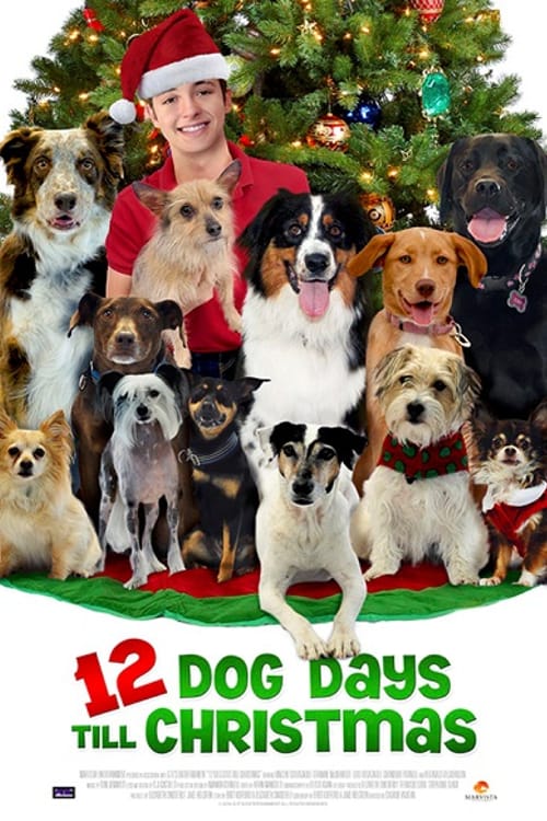 Noel’ in 12 Köpeği