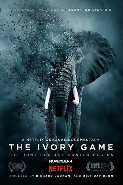 Fildişi Oyunu – The Ivory Game